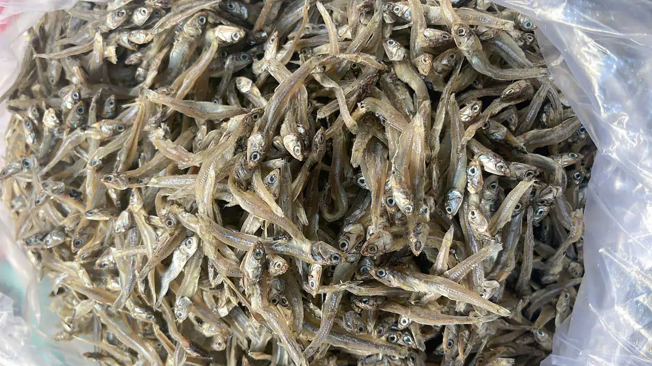 Khô cá cơm (có đầu)