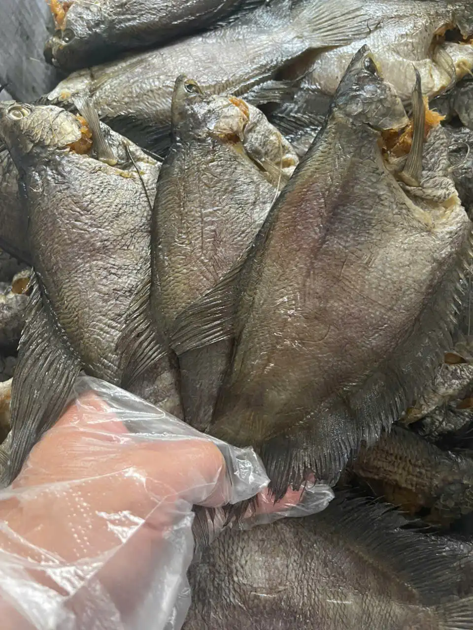 Khô cá sặc