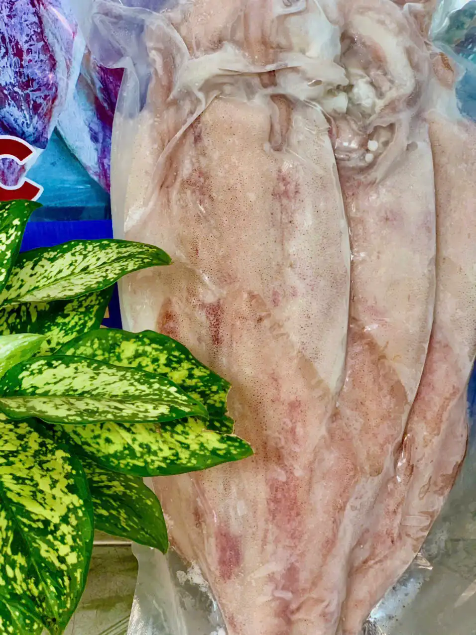 Mực 1 nắng