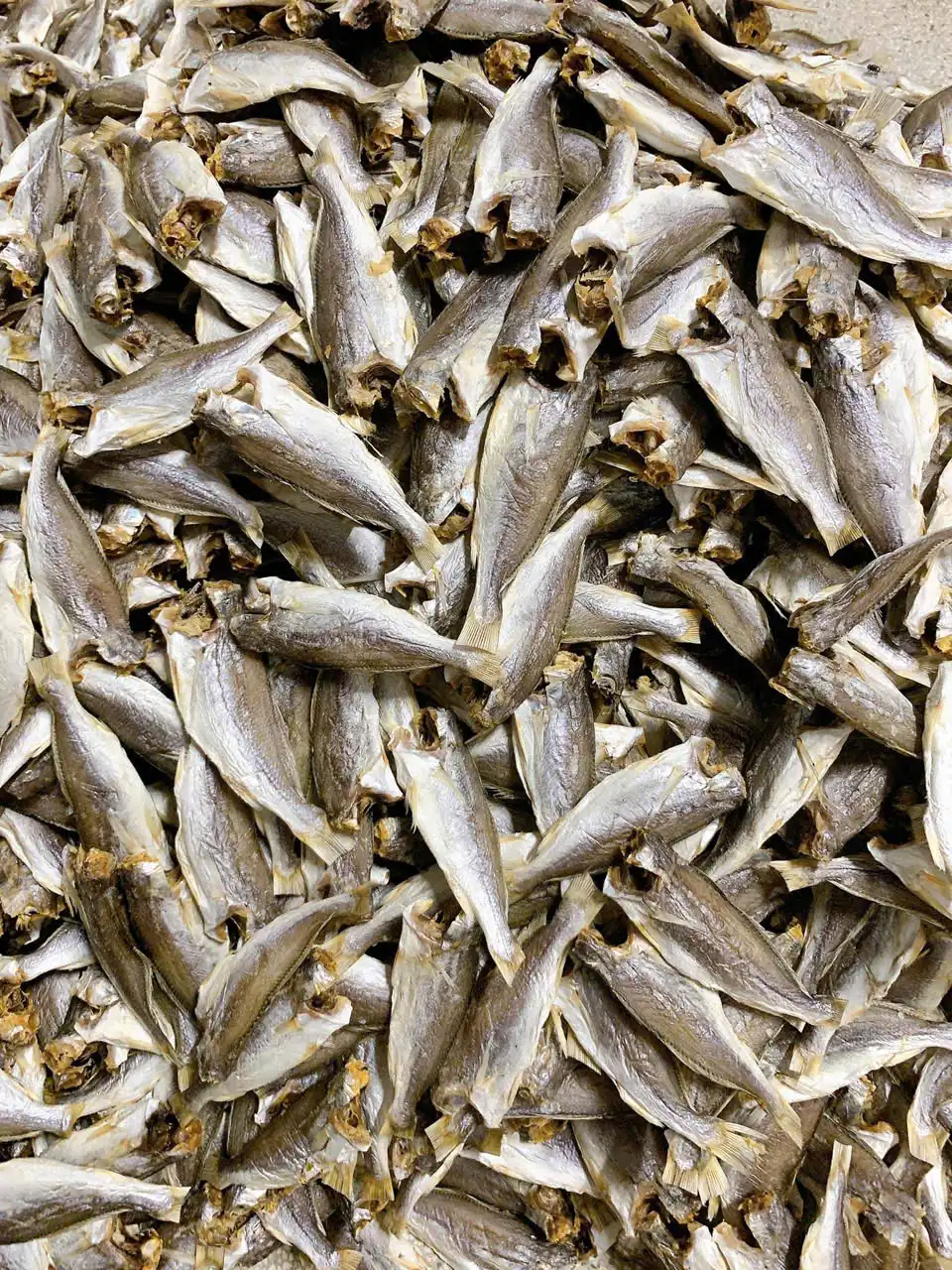 Khô đù nguyên con