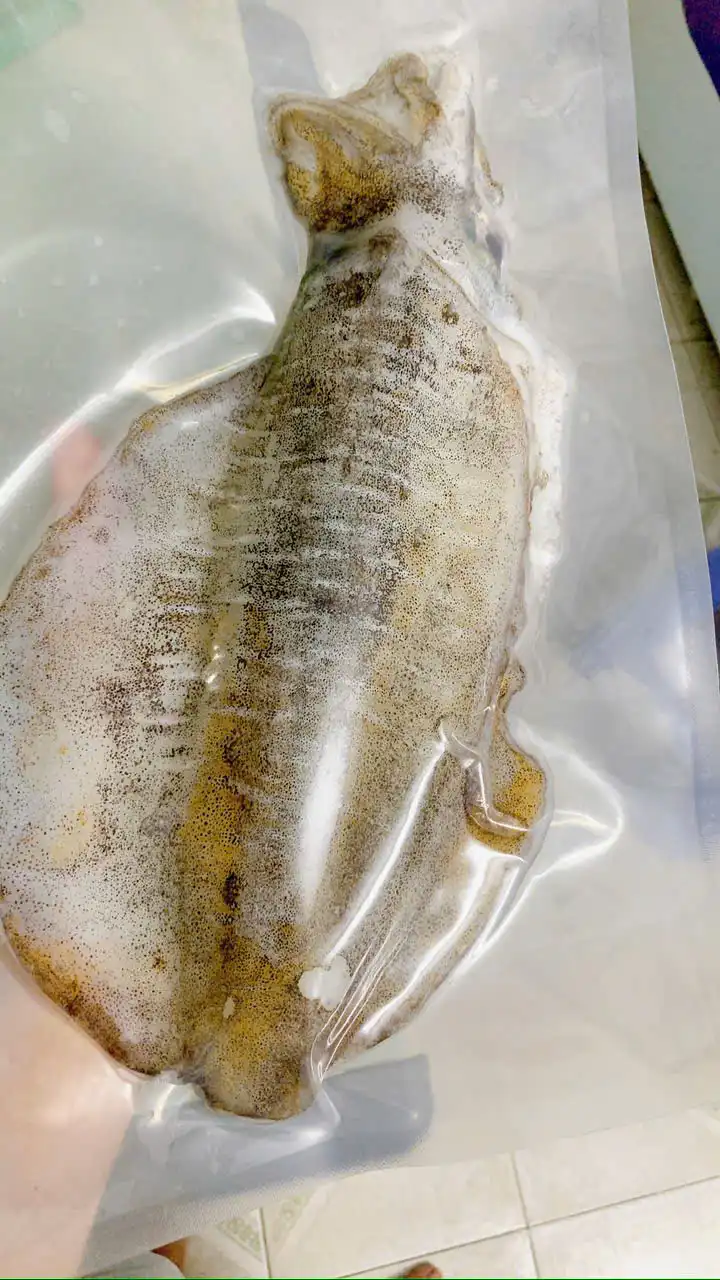Mực lá sống cấp đông